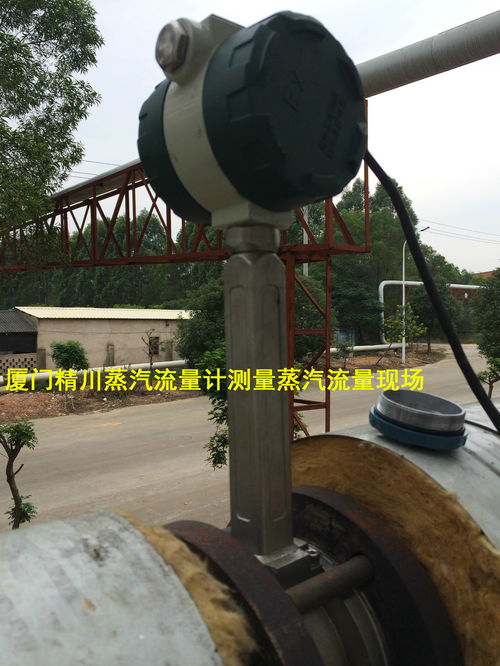 水产食品加工厂蒸汽流量计福建厂家厦门精川已是食品厂测量蒸汽标配